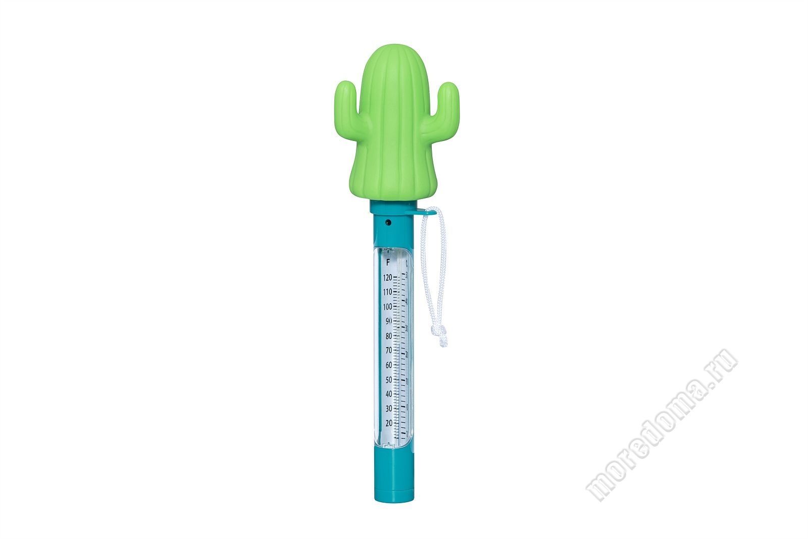 Термометр для бассейна с насадкой игрушкой Bestway кактус ; артикул 58763