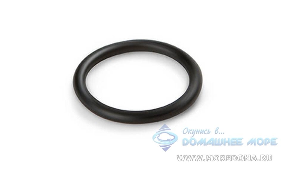 Уплотнительное кольцо  INTEX на плунжерный клапан под  шланг 38мм, арт.10262