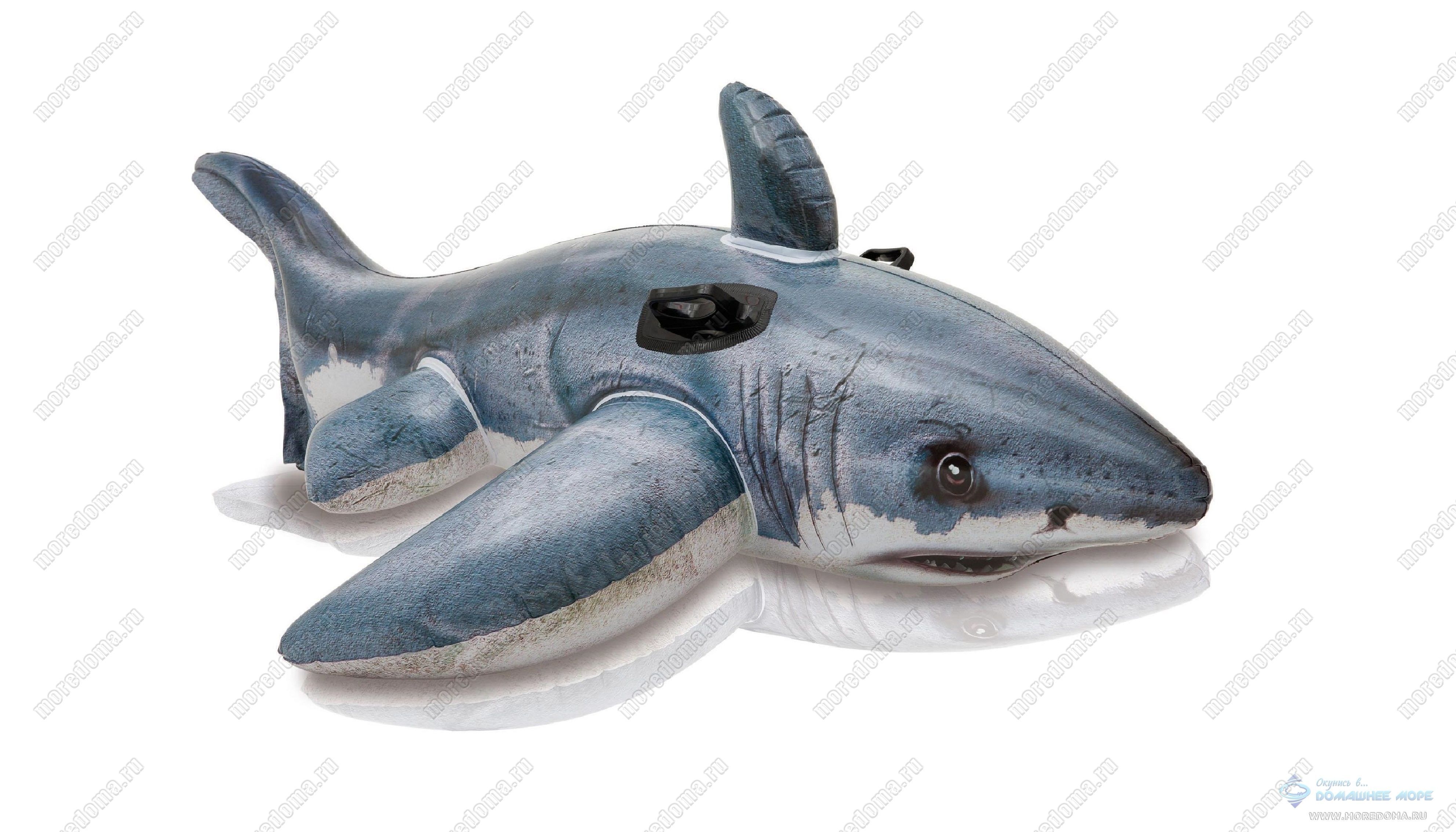 Игрушка INTEX "акула" 173 х 107 см ; артикул 57525